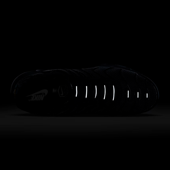 Nike Air Max Plus